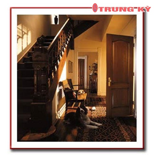 CỬA GỖ CAO CẤP HDF 