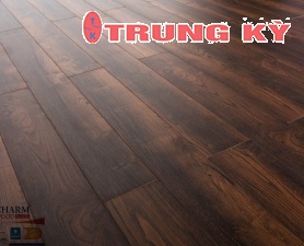 SÀN GỖ CAO CẤP TRUNG KỲ