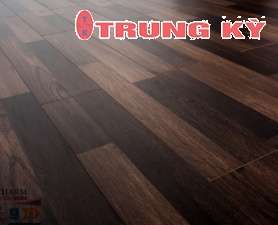 SÀN GỖ CAO CẤP TRUNG KỲ