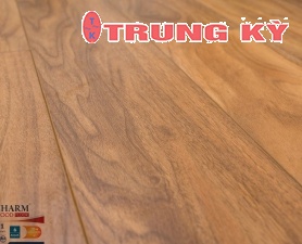 SÀN GỖ CAO CẤP TRUNG KỲ